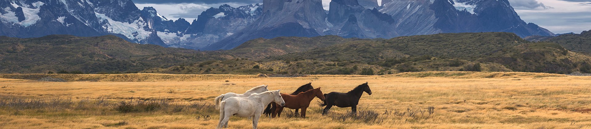 torres del paine