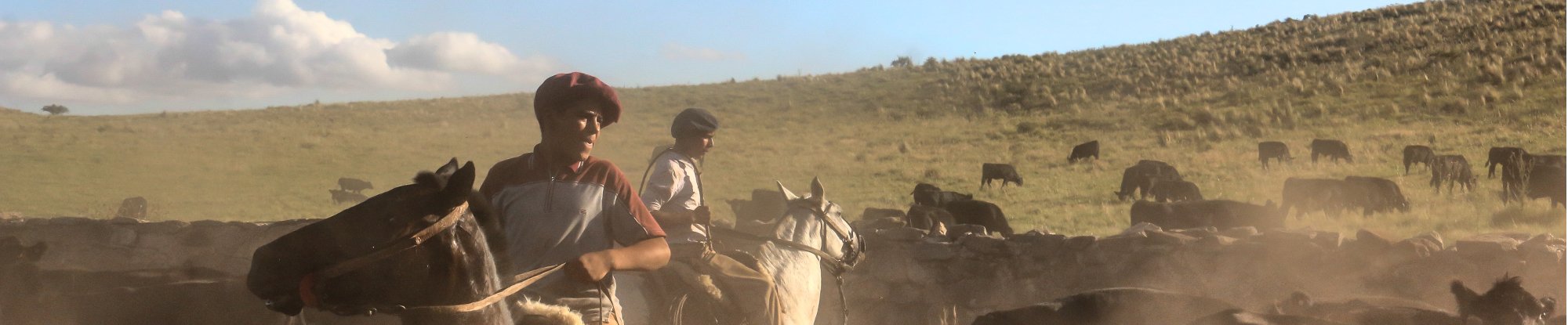 Estancia Los Potreros Gauchos