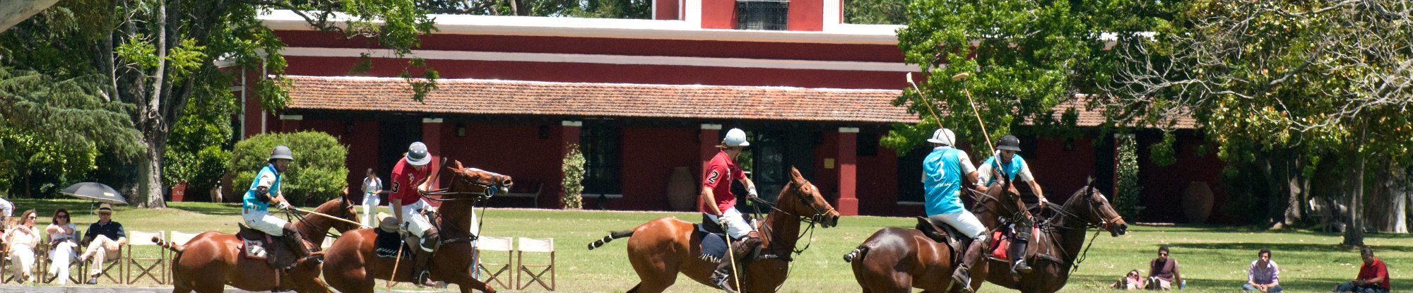 La Bamba Polo