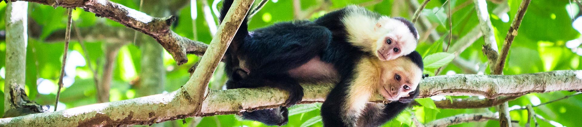 Tortuguero National Park