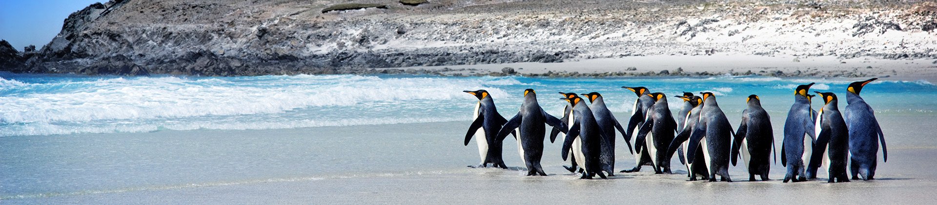 Falkland Islands