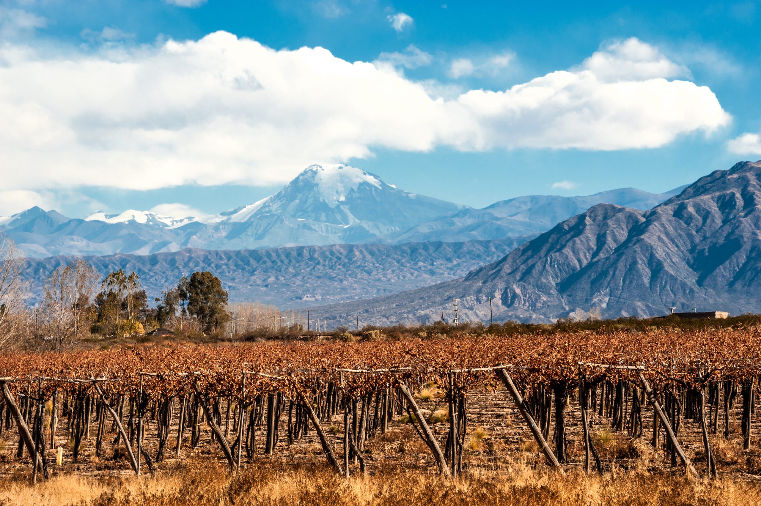 Argentinian winery